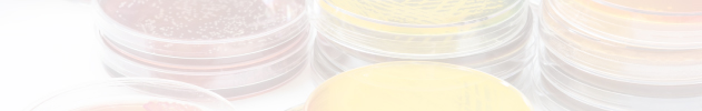 Bacterial Growth Media - Plates
